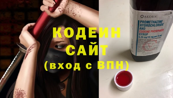 меф Снежинск