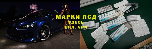 прущие грибы Абинск