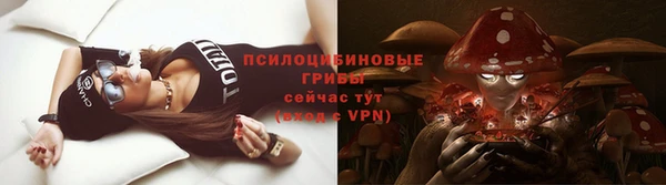 a pvp Абдулино