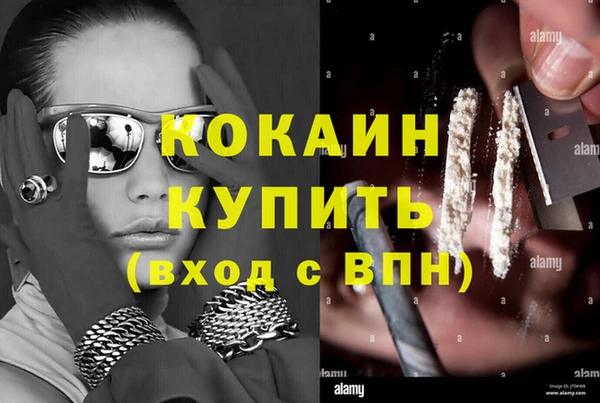 прущие грибы Абинск