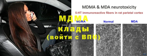 прущие грибы Абинск