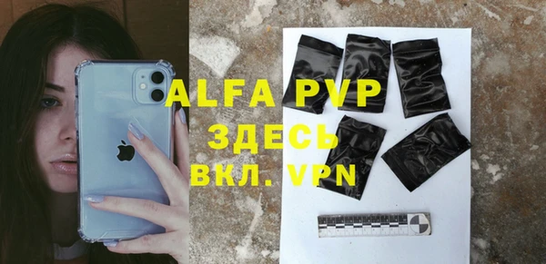 прущие грибы Абинск