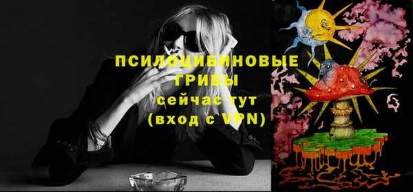 меф Снежинск