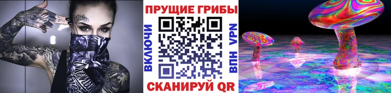 Галлюциногенные грибы MAGIC MUSHROOMS  МЕГА как войти  Остров 