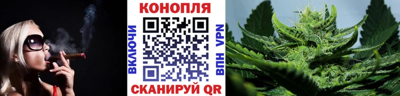 Шишки марихуана сатива  Остров 